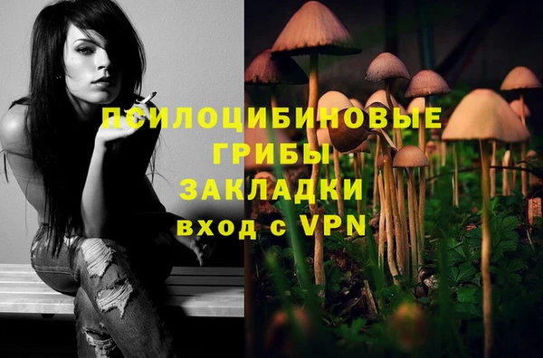 jwh Белокуриха